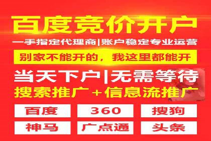 谷歌SEM实战案例：跨境电商广告投放技巧